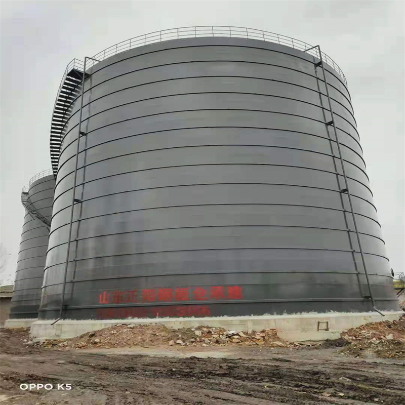 齐河3万吨大型钢板库