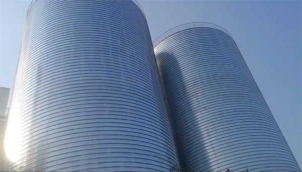 齐河2座混凝土高架卷板仓